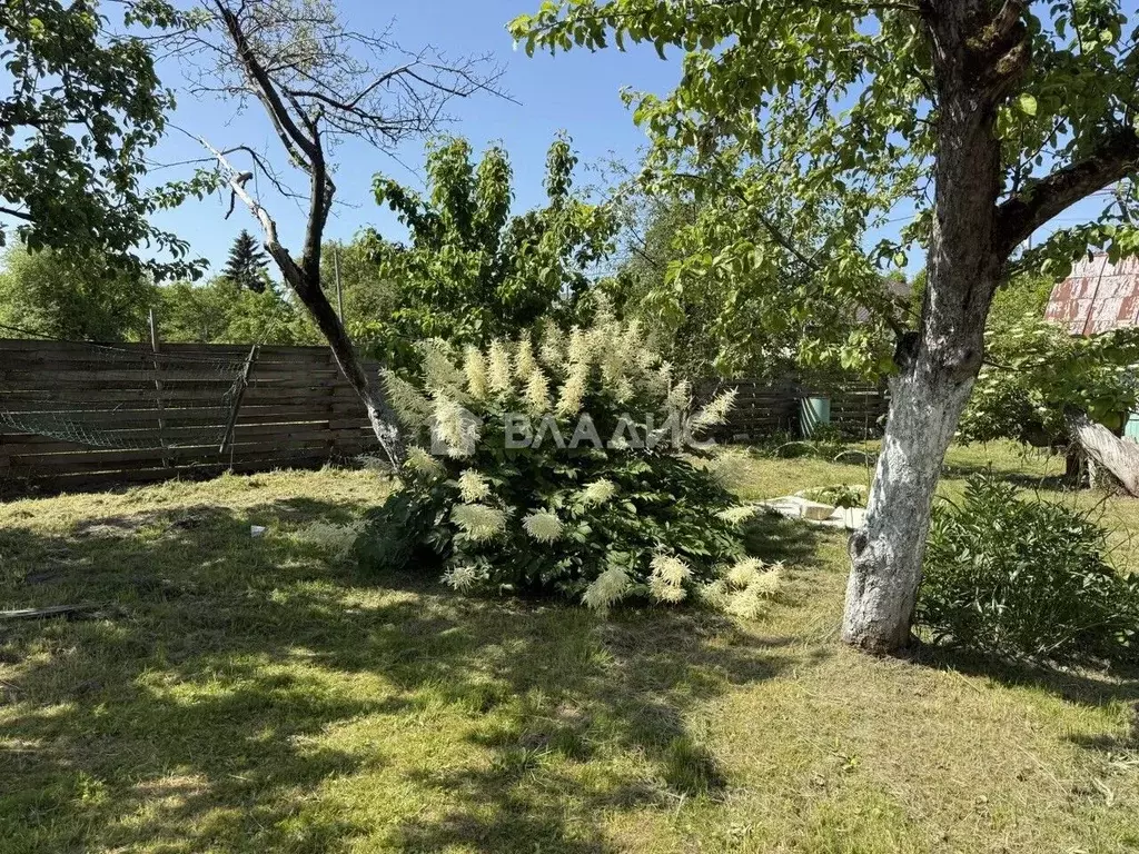 Участок в Калининградская область, Калининград Заря СНТ, ул. Лиловая, ... - Фото 1