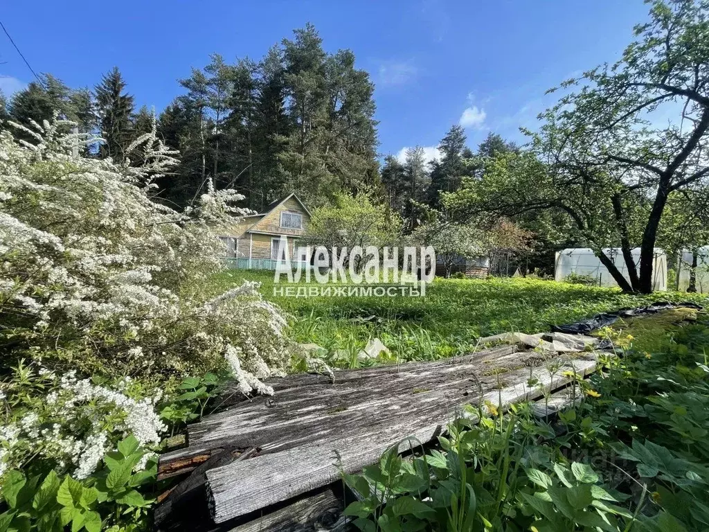 Участок в Ленинградская область, Кировское городское поселение, ... - Фото 1