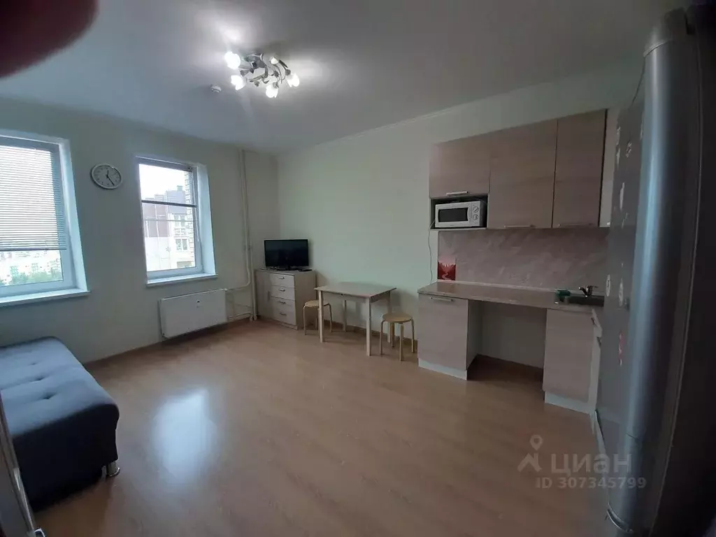 Студия Ленинградская область, Всеволожский район, д. Новое Девяткино ... - Фото 2