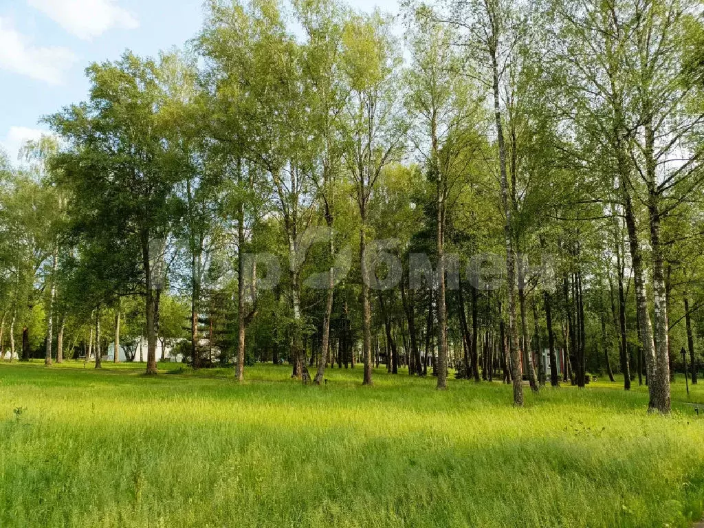 Продается участок в с. Вороново - Фото 2