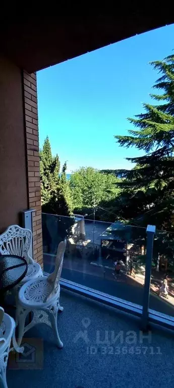 1-к кв. Крым, Алушта ул. Набережная, 18 (26.0 м) - Фото 1