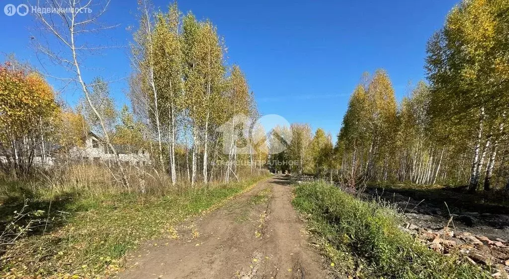 Участок в Искитимский район, Мичуринский сельсовет, дачное ... - Фото 2