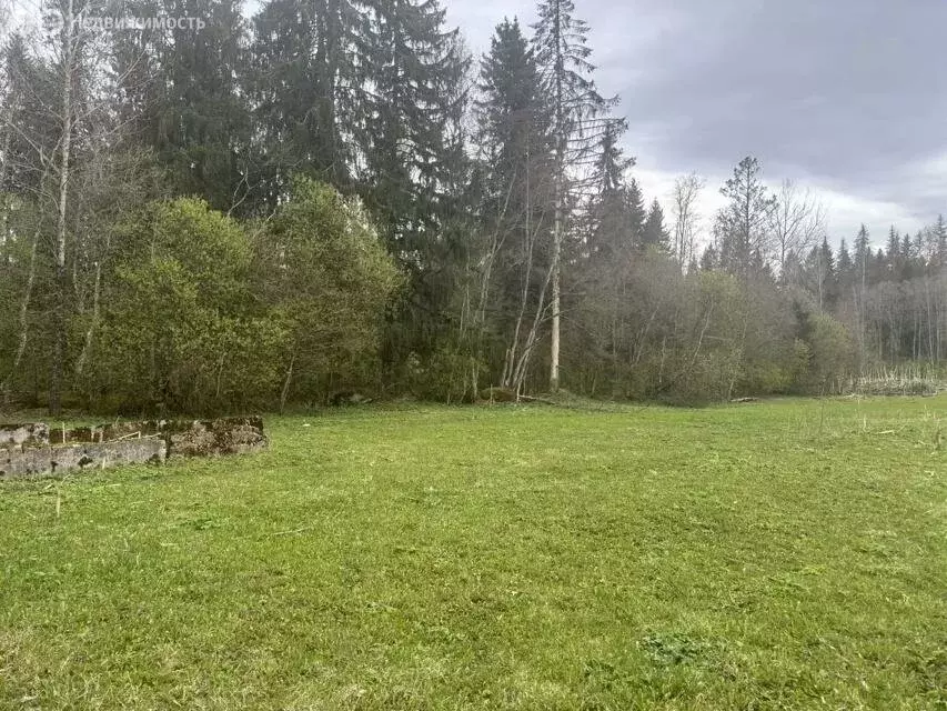 Участок в Волосовский район, Калитинское сельское поселение, деревня ... - Фото 1