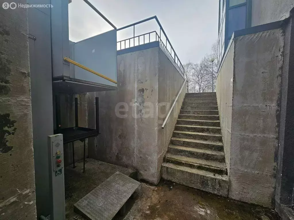 Торговая площадь (140.3 м) - Фото 2