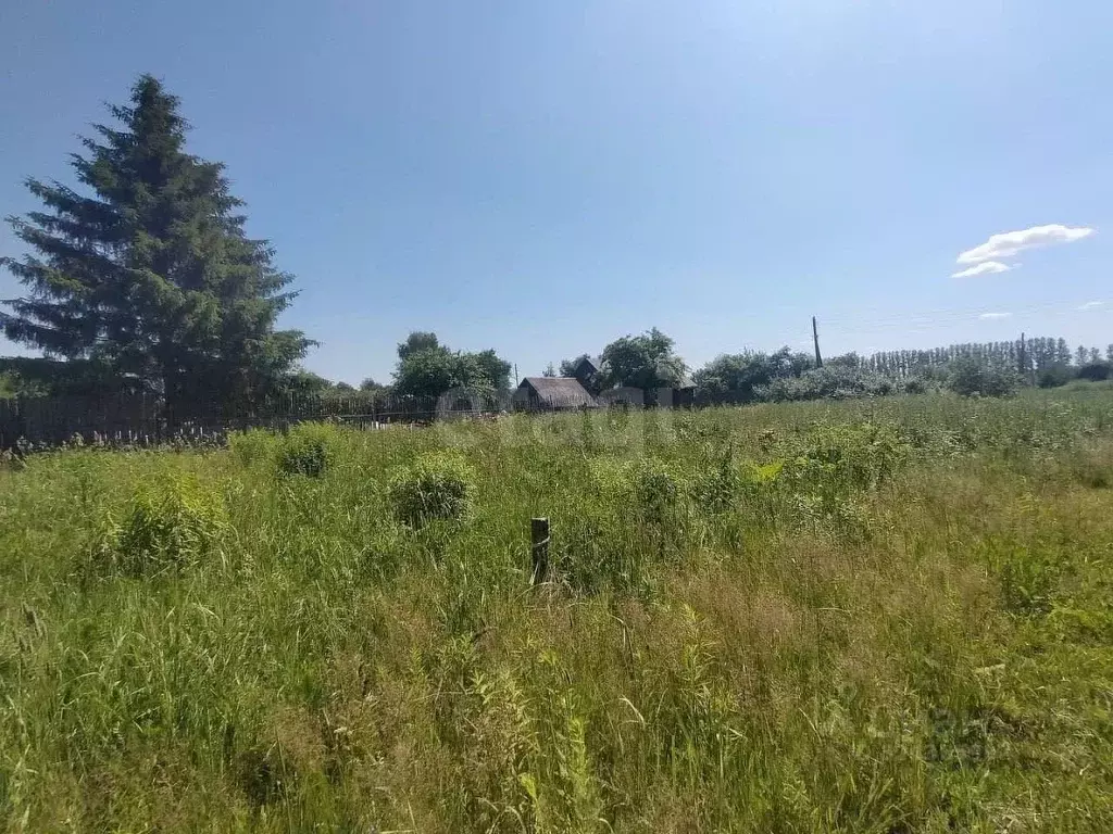 Участок в Ярославская область, Ярославский муниципальный округ, д. ... - Фото 1