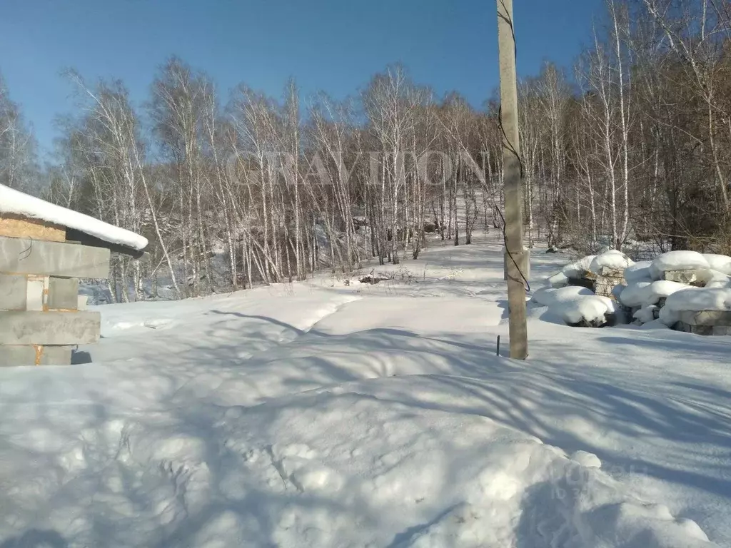 Участок в Алтай, Майминский район, пос. Дубровка  (12.0 сот.) - Фото 2