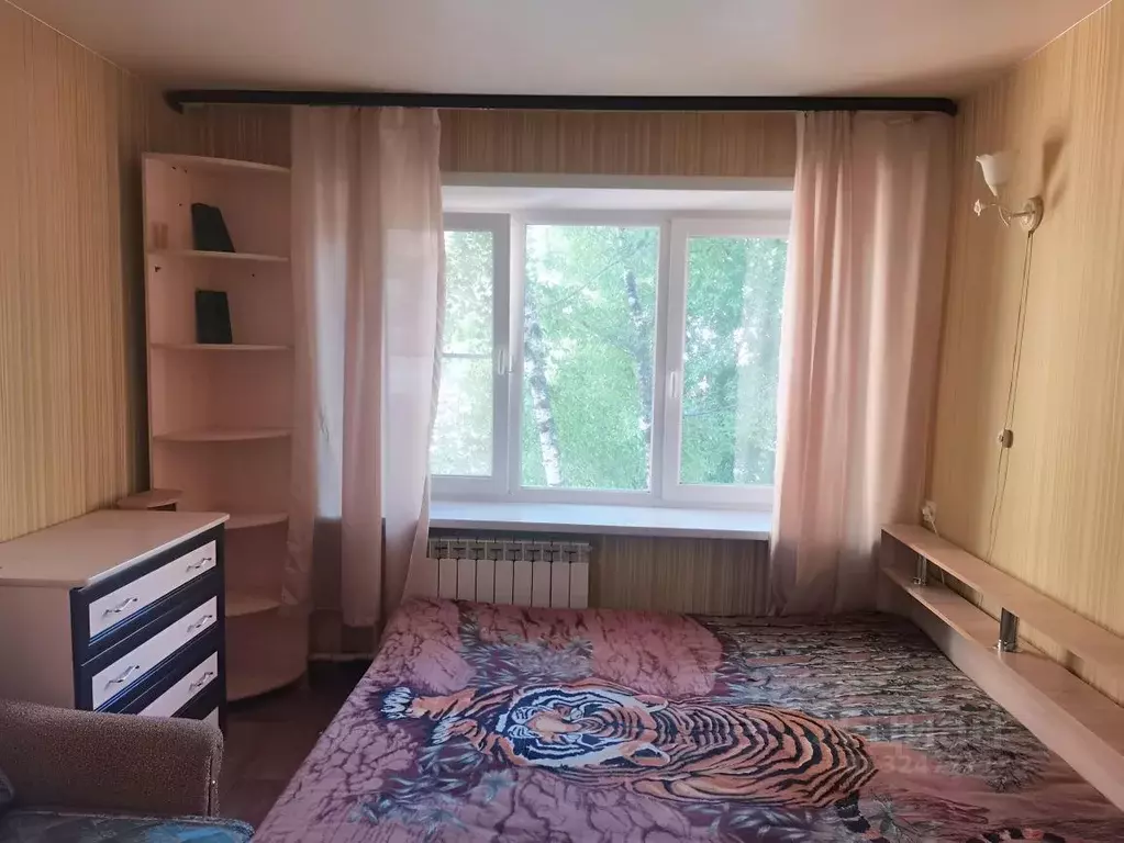 1-к кв. Московская область, Ногинск Богородский городской округ, ул. ... - Фото 1