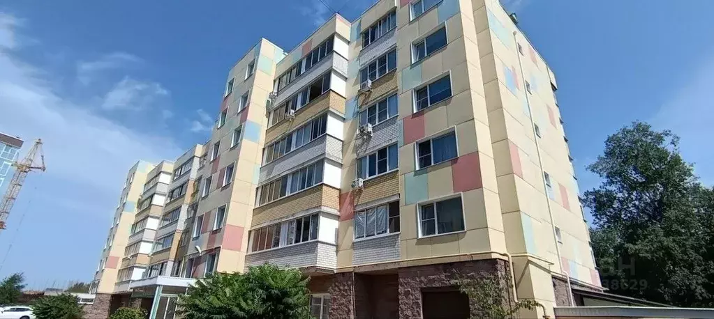 Студия Курская область, Курск Северный жилрайон, ул. Генерала ... - Фото 1