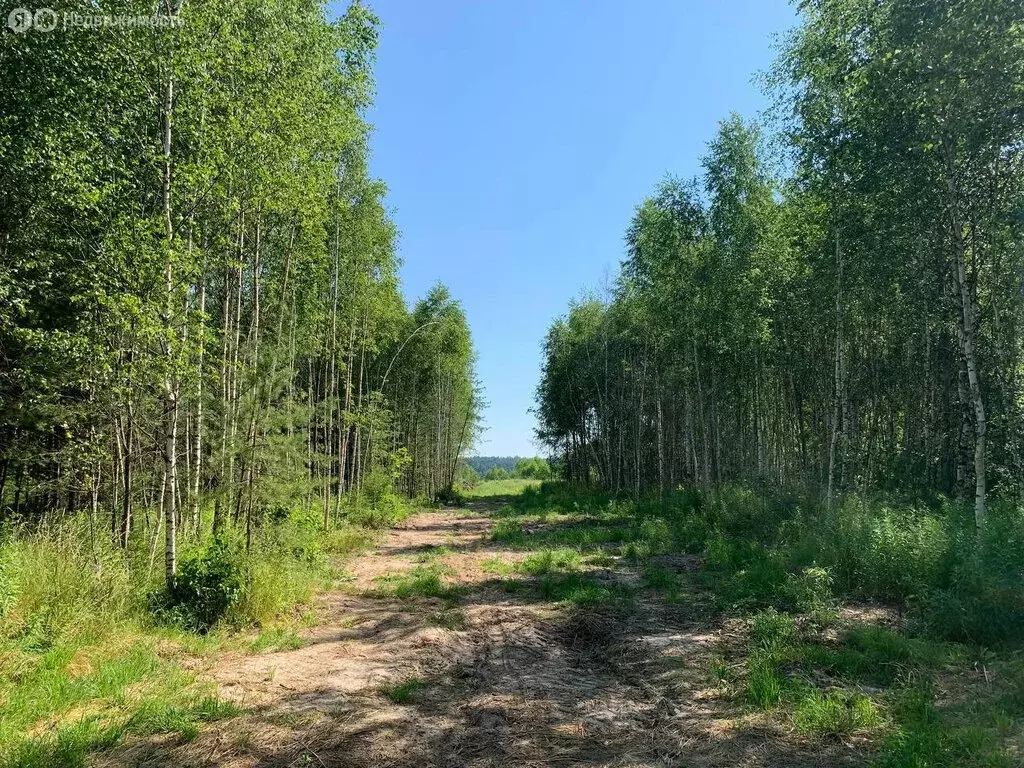 Купить Дом В Хатуни Ступинский