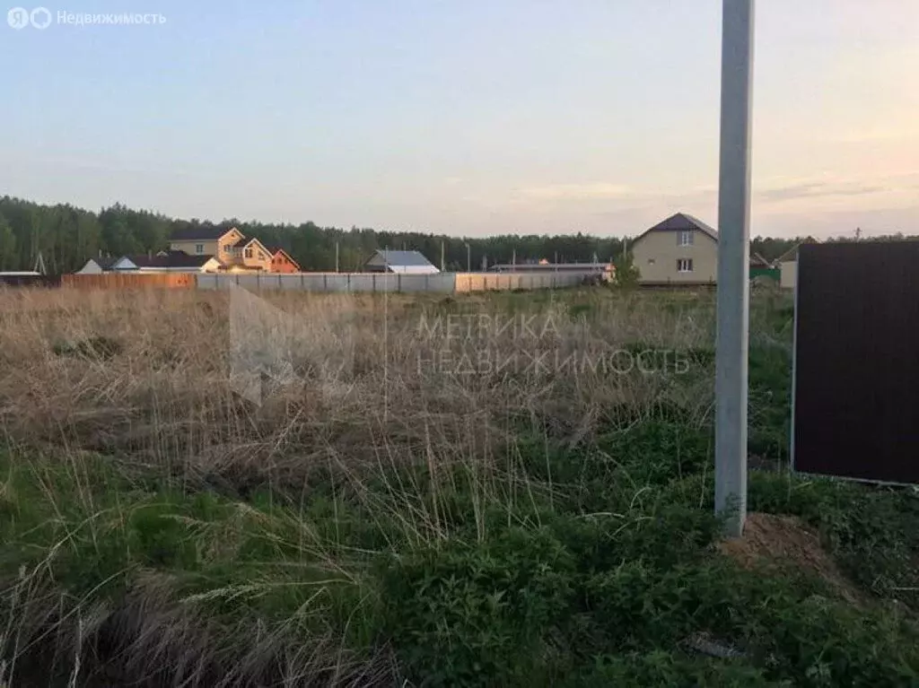 Участок в Ярковский район, деревня Новокурская (20 м) - Фото 1