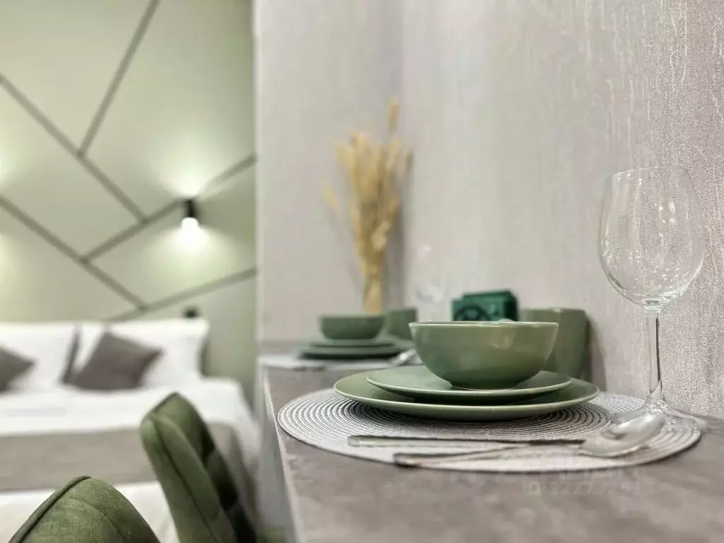 1-к кв. Татарстан, Казань ул. Карла Маркса, 5 (20.0 м) - Фото 2