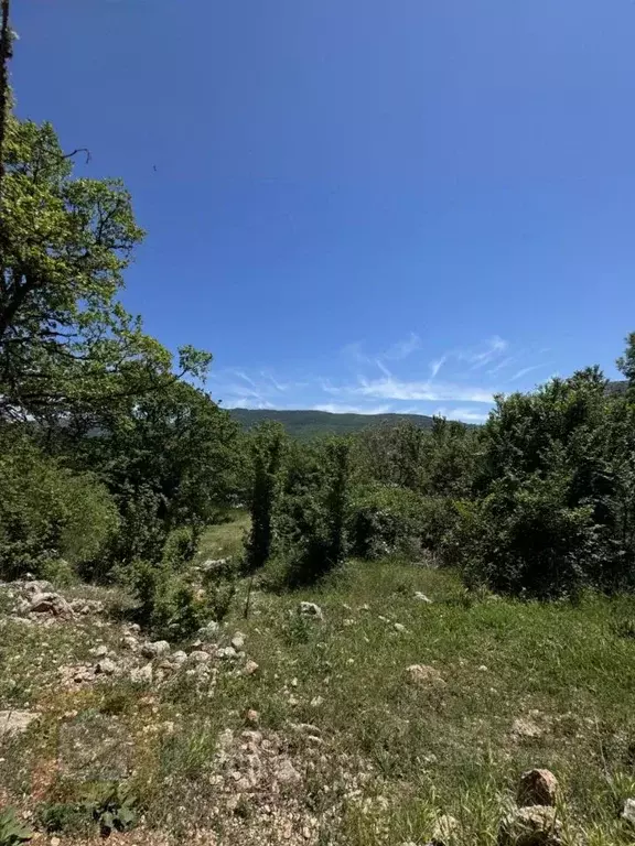 Участок в Севастополь с. Кизиловое, ул. Лесная, 623 (10.0 сот.) - Фото 1