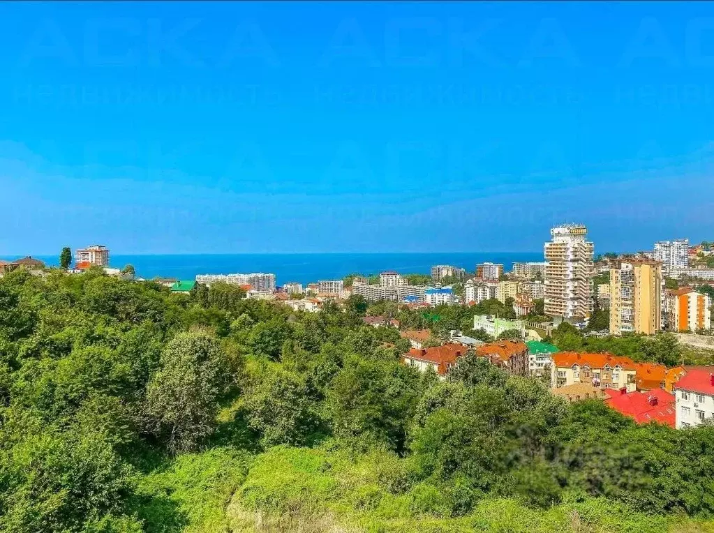 2-к кв. Краснодарский край, Сочи Виноградная ул., 195/1 (57.6 м) - Фото 0