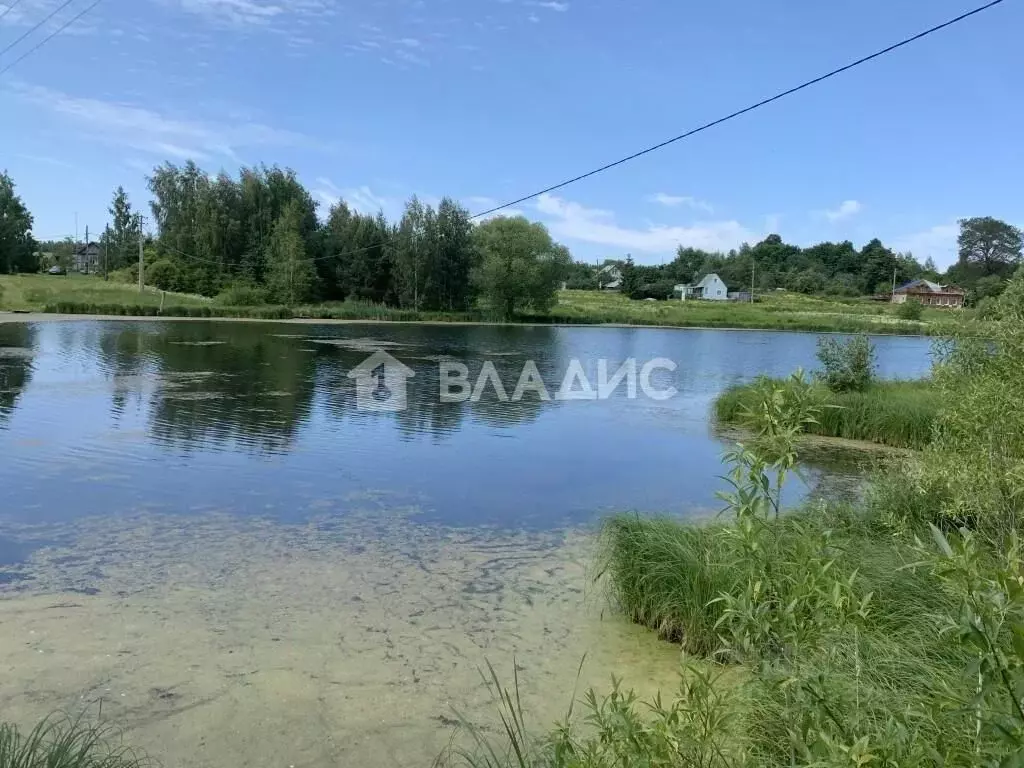 Участок в Владимирская область, Суздальский район, Новоалександровское ... - Фото 0