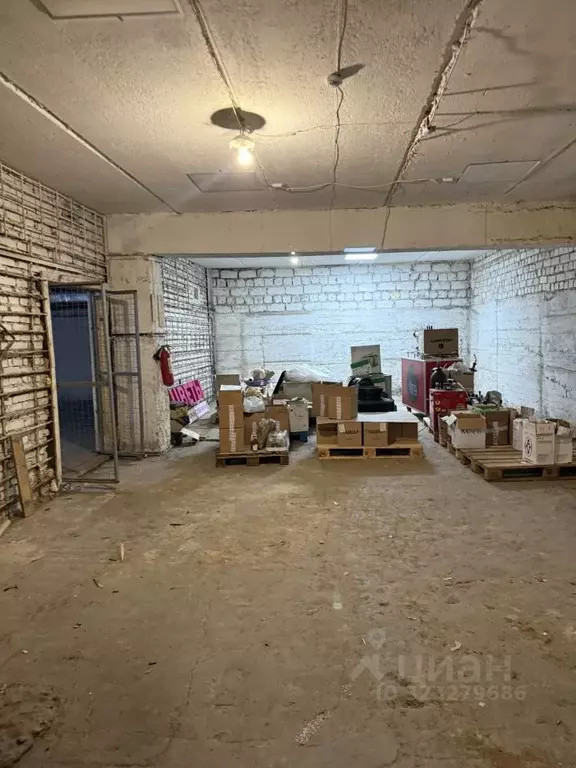 Торговая площадь в Краснодарский край, Сочи ул. Гагарина, 76 (100 м) - Фото 1