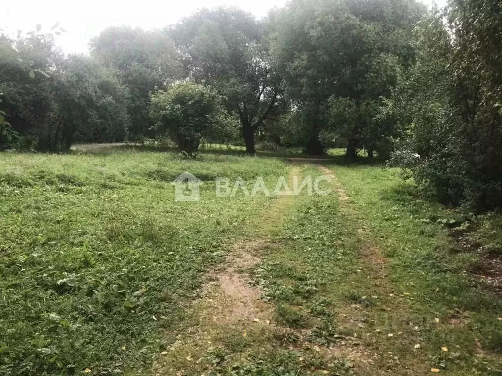 Участок в Владимирская область, Суздальский район, Новоалександровское ... - Фото 1