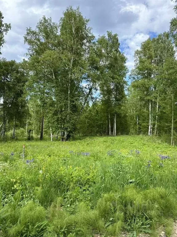Участок в Иркутская область, Иркутский муниципальный округ, Славное ... - Фото 1