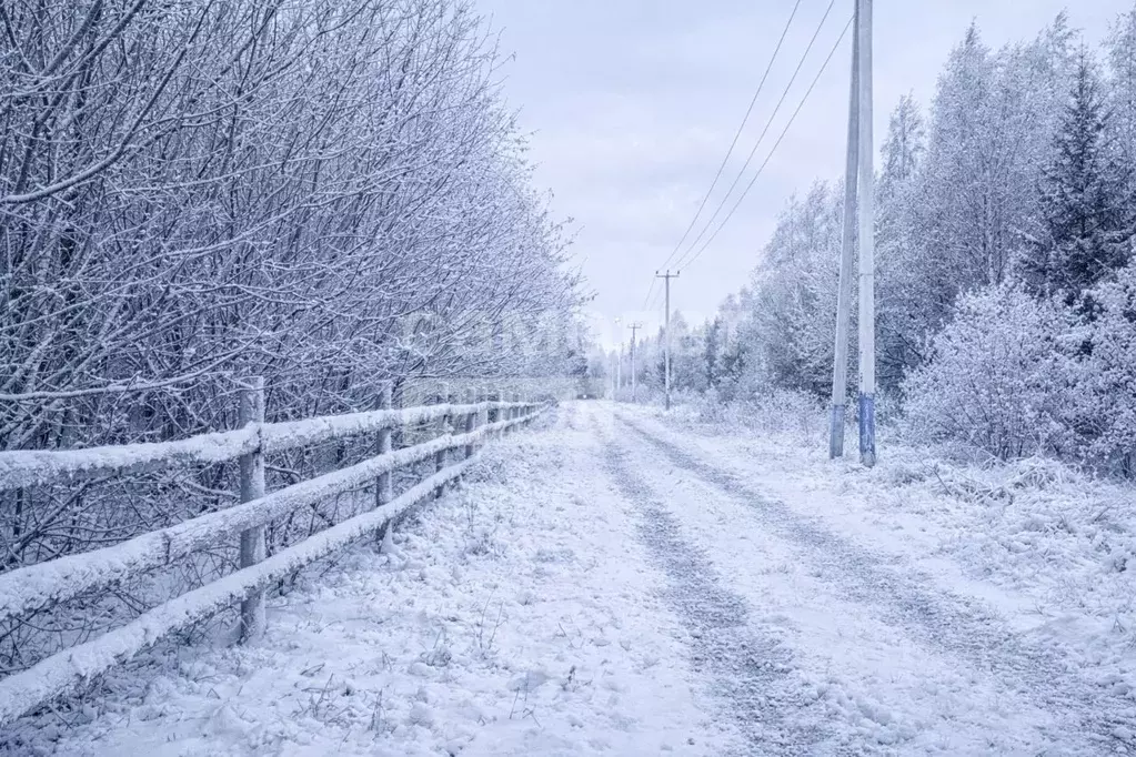 Участок в Московская область, Солнечногорск городской округ, д. ... - Фото 2