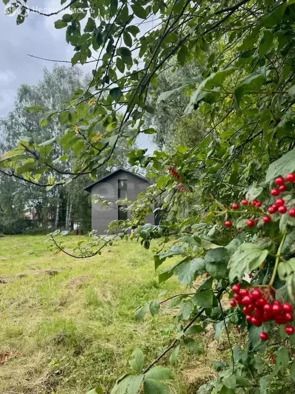 Дом в Московская область, городской округ Клин, деревня Сохино (72 м) - Фото 1