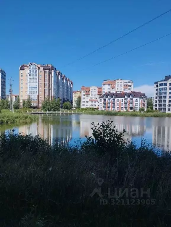 1-к кв. Калининградская область, Зеленоградск Солнечная ул., 15 (38.0 ... - Фото 1