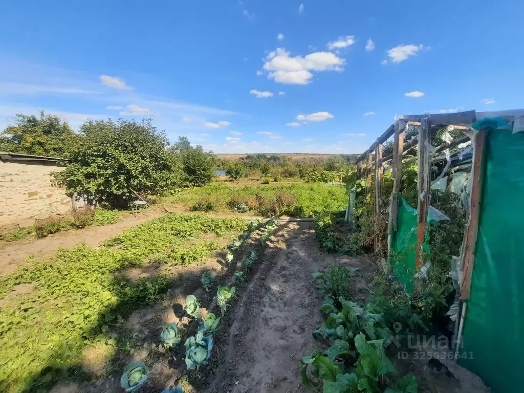 Дом в Ростовская область, Белокалитвинский район, Синегорское с/пос, ... - Фото 2