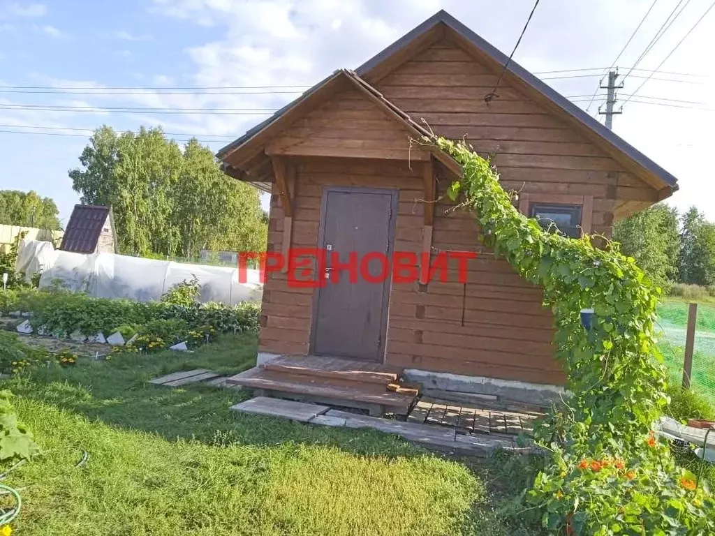 Участок в Новосибирская область, Искитимский район, Быстровский ... - Фото 0