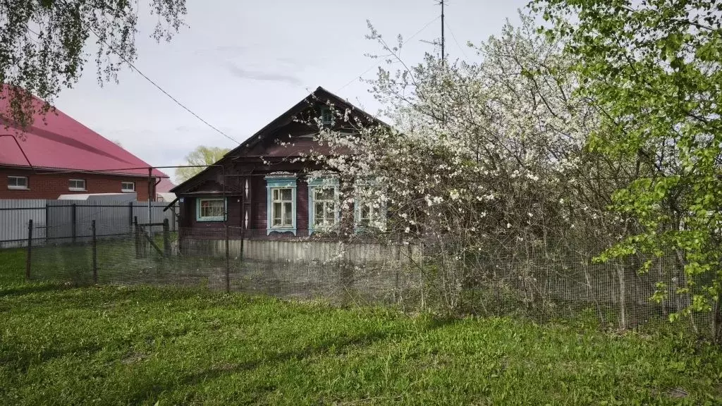 Дом в Нижегородская область, с. Большое Болдино  (43 м) - Фото 2