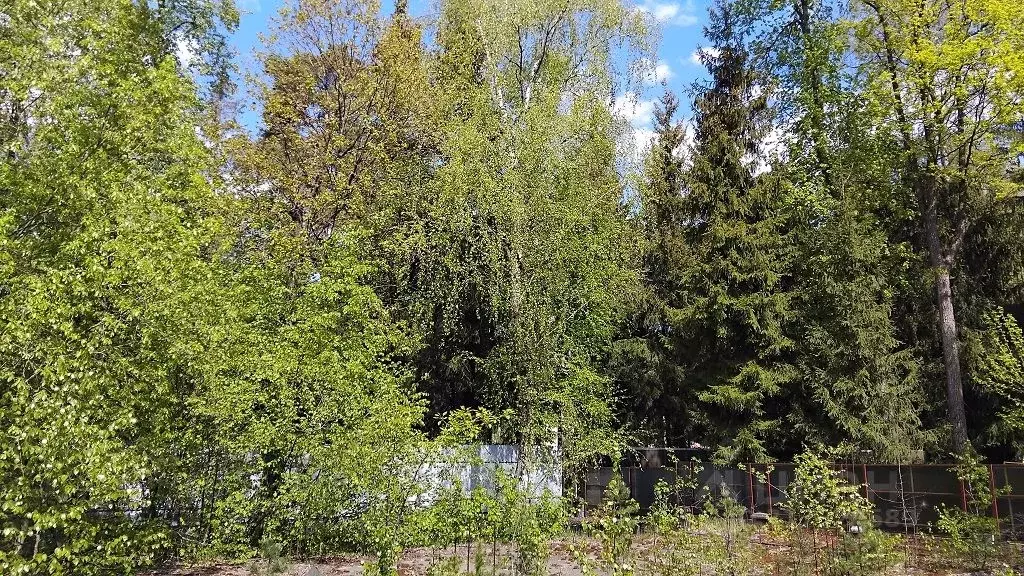 Участок в Московская область, Одинцовский городской округ, пос. ... - Фото 1