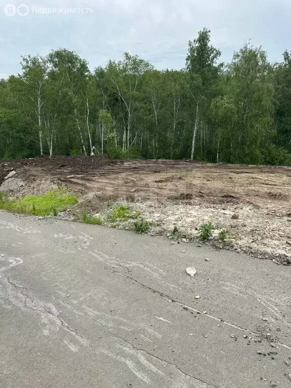 Участок в Каменский сельсовет, дачный массив Микрорайон Близкий (10 м) - Фото 1