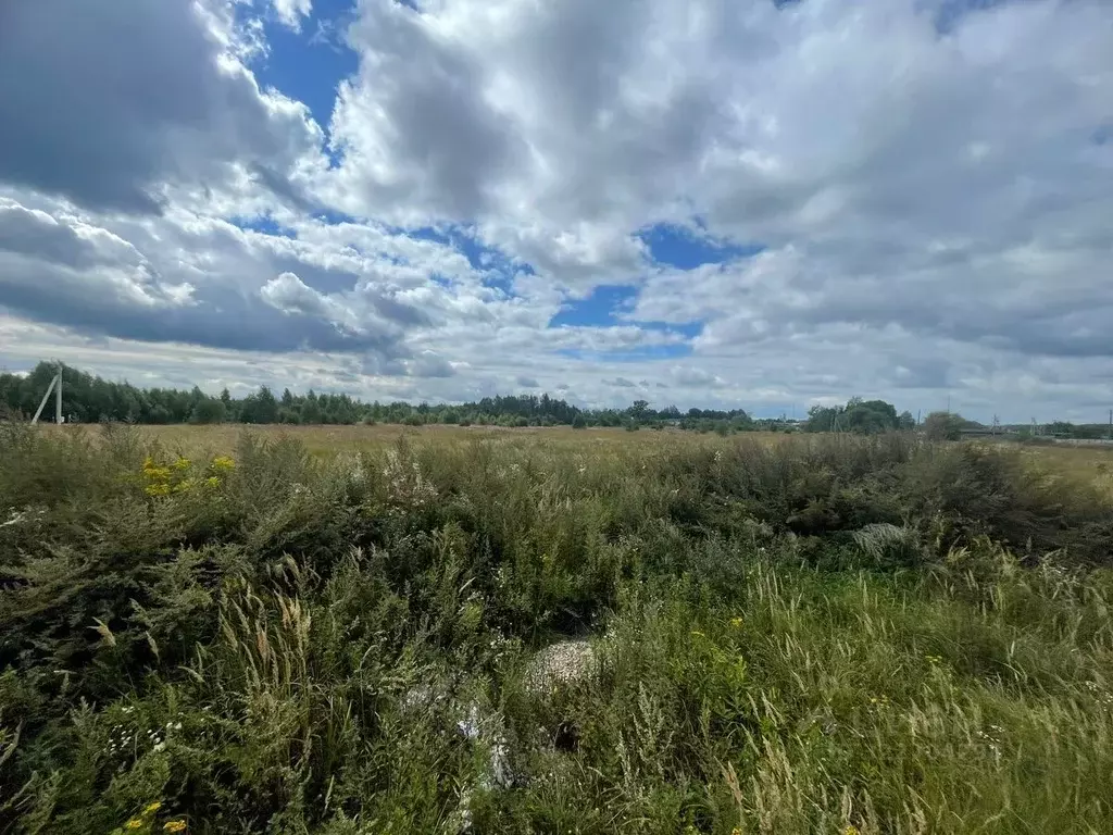 Участок в Московская область, Ступино городской округ, с. Ивановское  ... - Фото 1