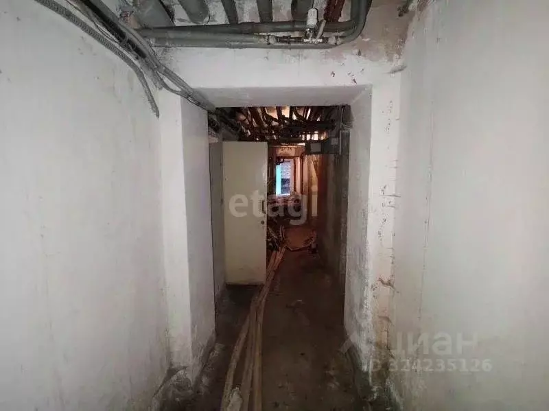 Помещение свободного назначения в Ханты-Мансийский АО, Сургут ... - Фото 1