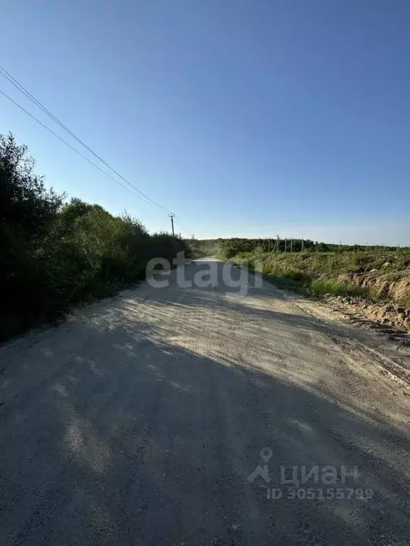 Участок в Амурская область, Благовещенск  (8.0 сот.) - Фото 1