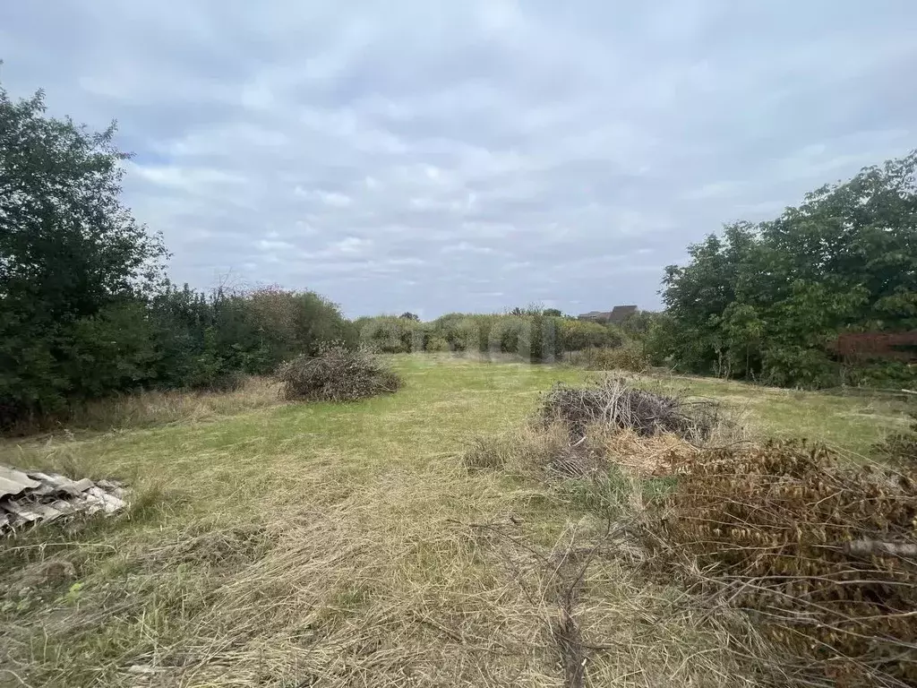 Участок в Белгородская область, Белгородский район, Новосадовское ... - Фото 1