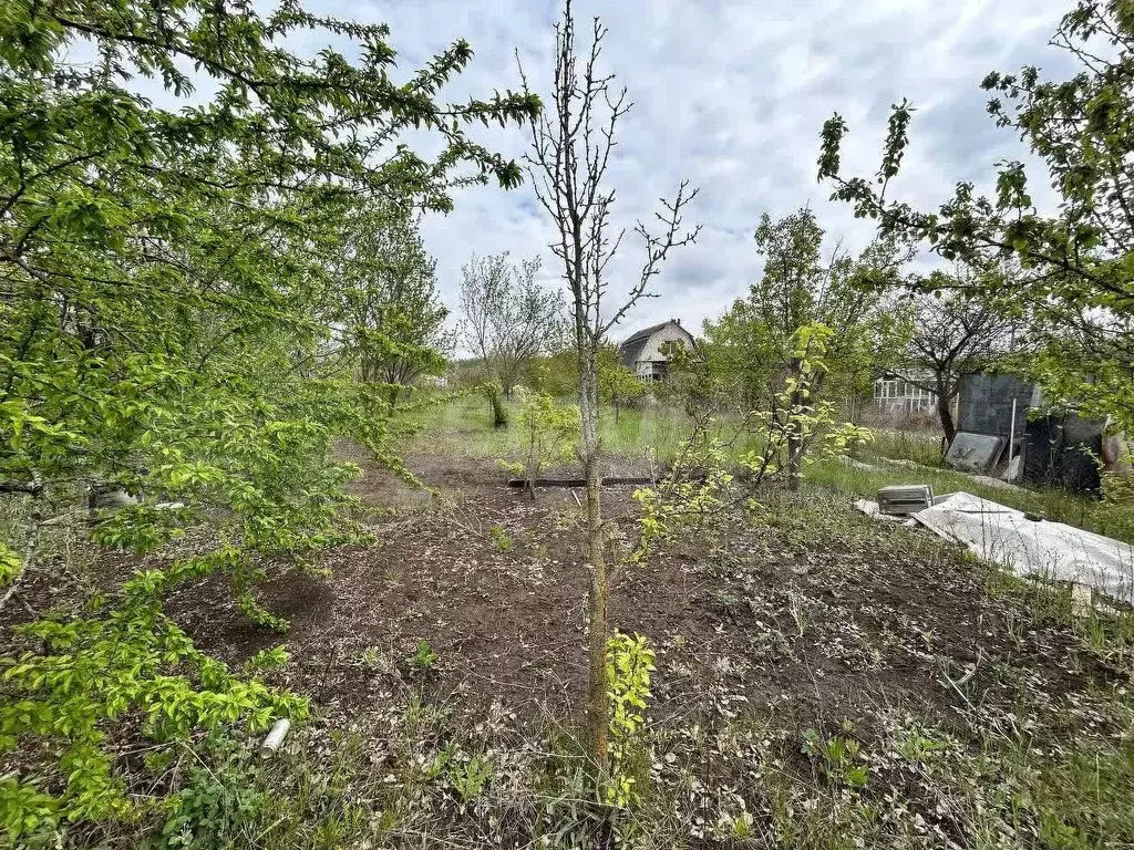 Участок 6,8 га (СНТ, ДНП) - Фото 1