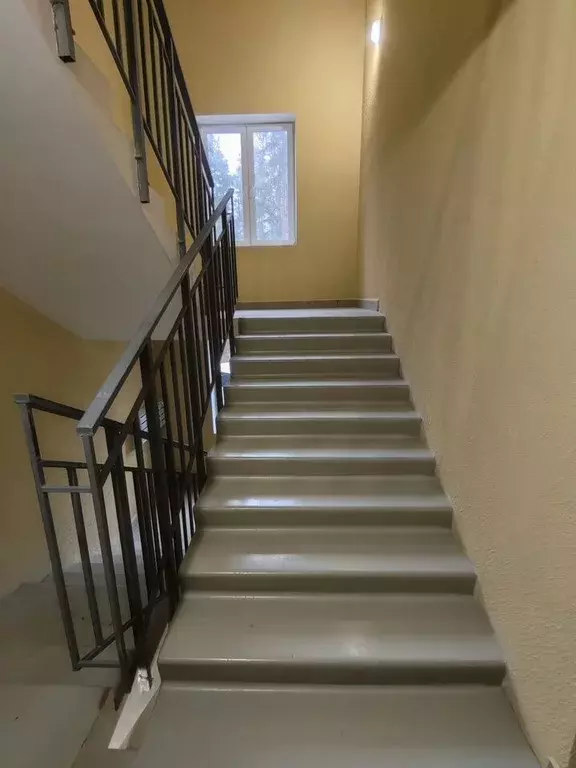 1-к кв. Ленинградская область, Приозерский район, пос. Сосново ул. ... - Фото 2