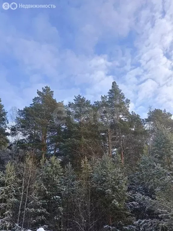 Участок в Тюменский муниципальный округ, деревня Ушакова, Парковый ... - Фото 2