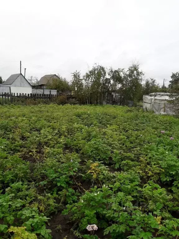 Участок в Саха (Якутия), Якутск городской округ, с. Тулагино  (12.0 ... - Фото 0