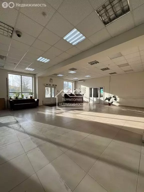 Офис (122.6 м) - Фото 2