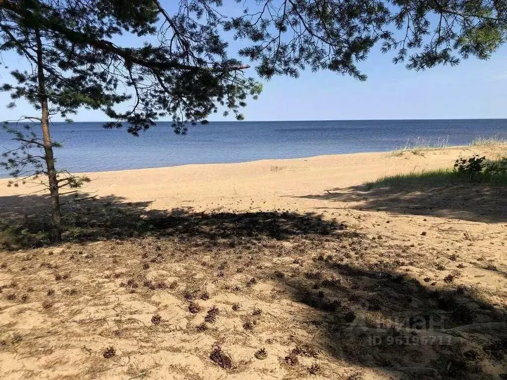 Участок в Карелия, Прионежский район, Рыборецкое с/пос, с. Рыбрека  ... - Фото 1