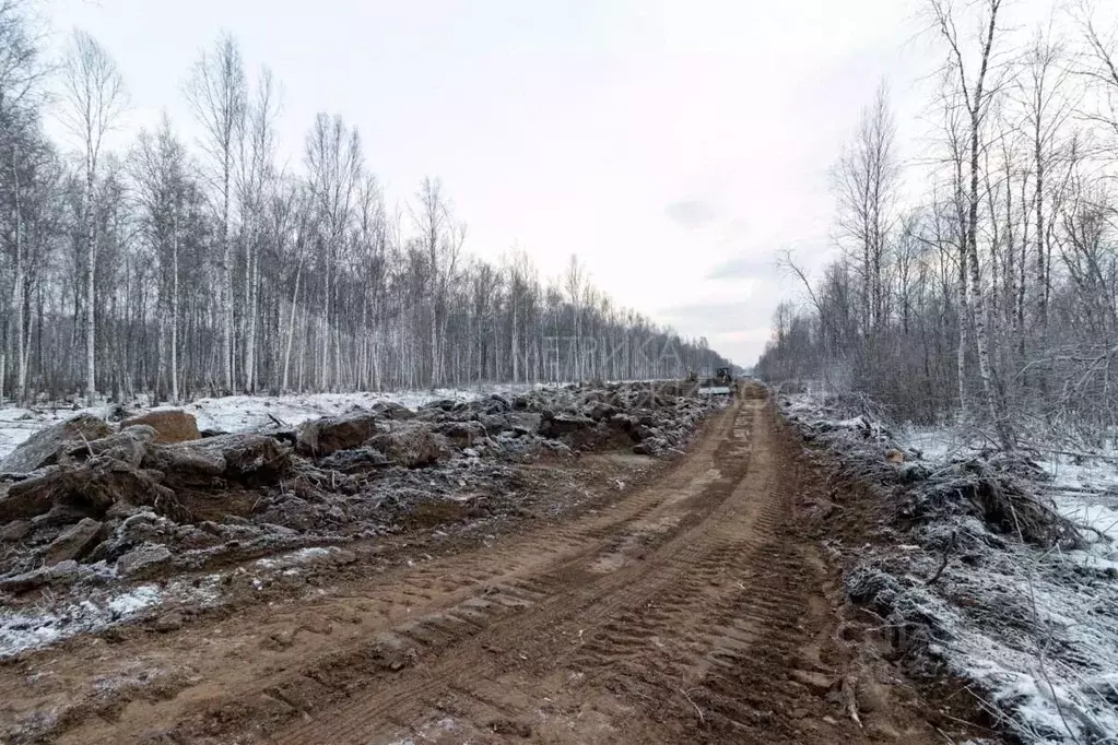 Участок в Тюменская область, Тюмень Тюменский-1 мкр,  (14.4 сот.) - Фото 1