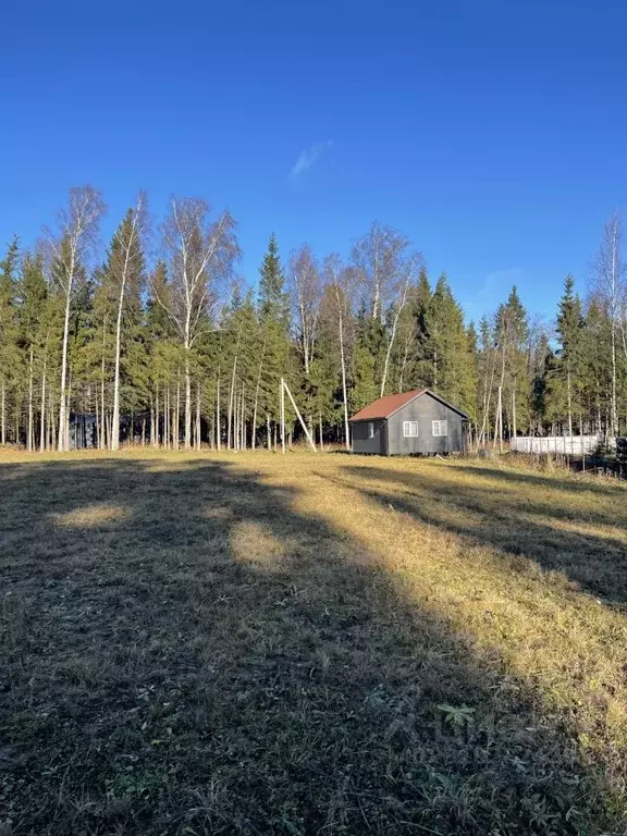 Участок в Московская область, Подольск городской округ, д. Пузиково  ... - Фото 1