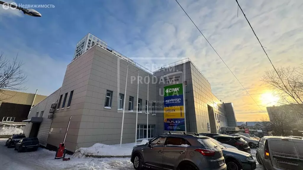 Офис (31.6 м) - Фото 2