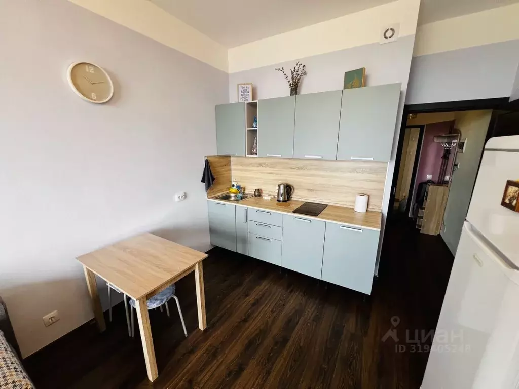 Студия Санкт-Петербург аллея Арцеуловская, 21 (25.0 м) - Фото 0