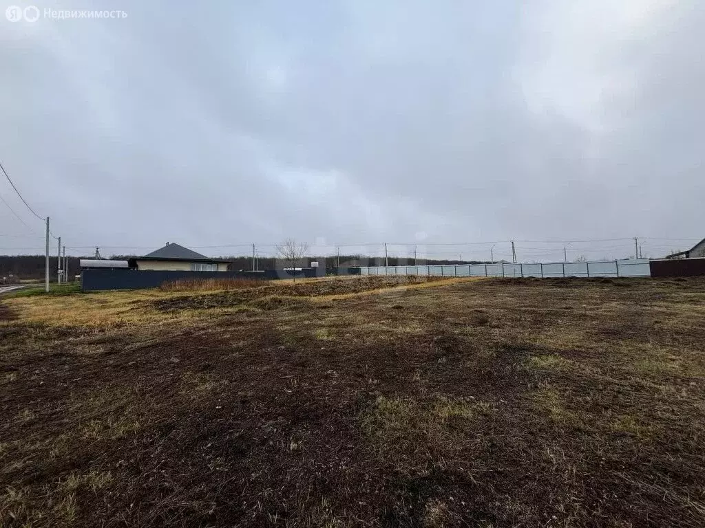 Участок в Республика Мордовия, городской округ Саранск, рабочий ... - Фото 2