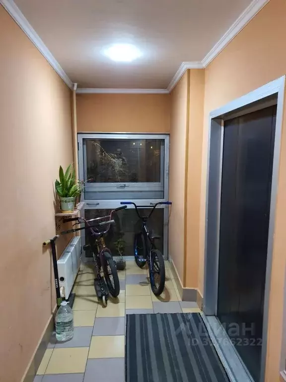 1-к кв. Москва Партизанская ул., 40 (39.0 м) - Фото 0