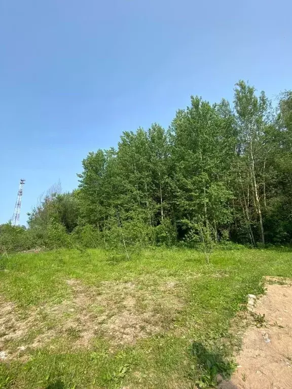 Участок в Московская область, Клин городской округ, д. Соголево 10 ... - Фото 2