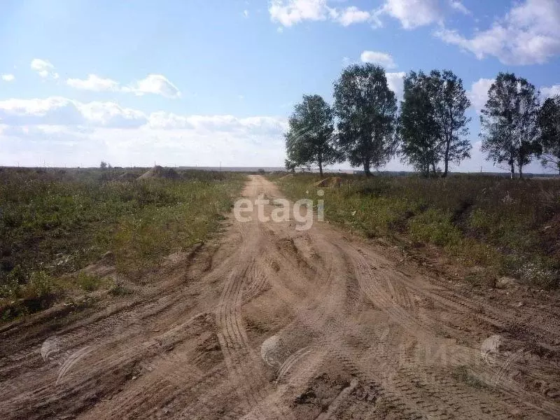 Участок в Челябинская область, Сосновский район, Краснопольское с/пос, ... - Фото 0