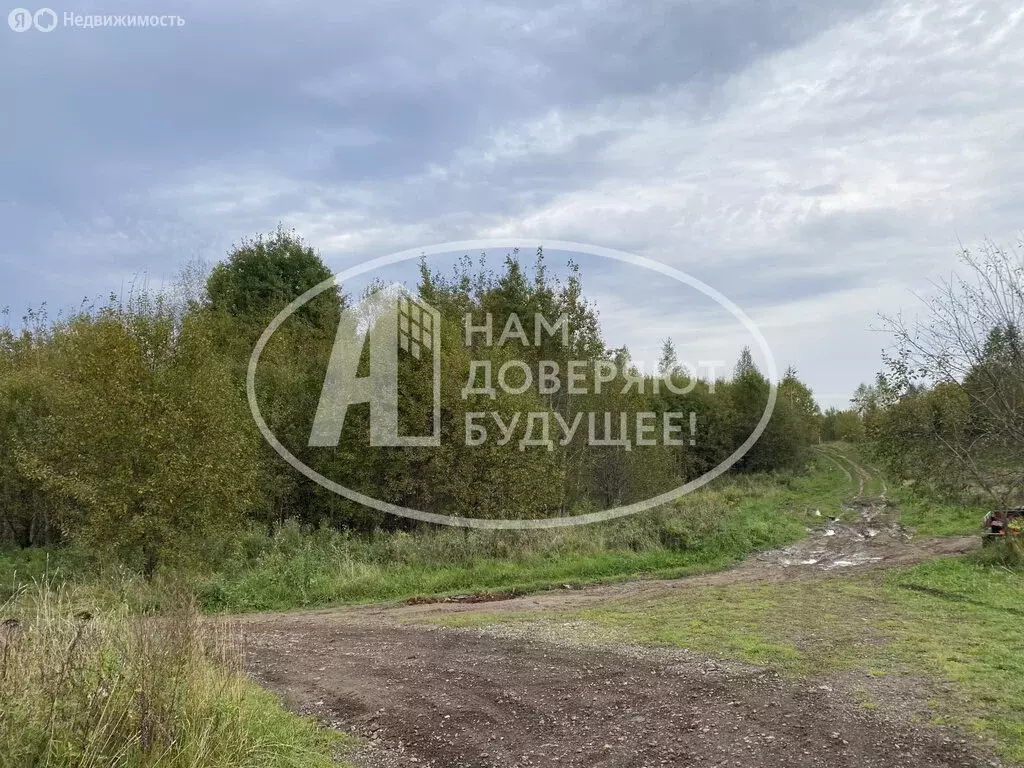 Участок в Лысьва, Индустриальная улица, 68 (12 м) - Фото 2