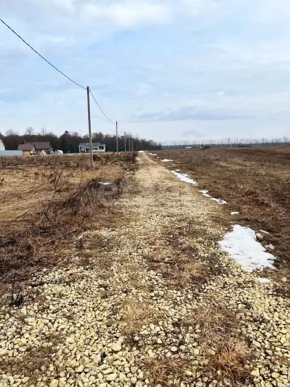 Участок в Ленинградская область, Гатчинский муниципальный округ, д. ... - Фото 1