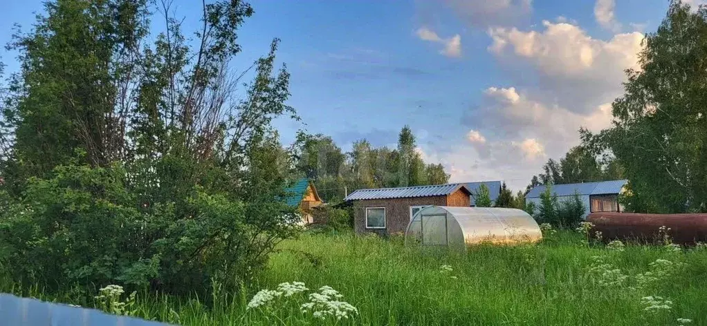 Участок в Новосибирская область, Новосибирский район, Плотниковский ... - Фото 1